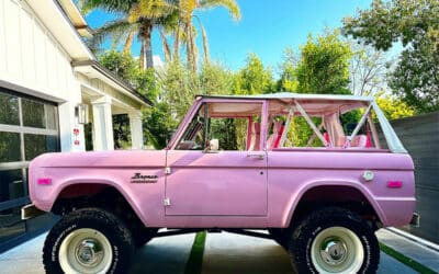 Pink Vintage Broncos: Spotlight on the LoveShackFancy Bronco